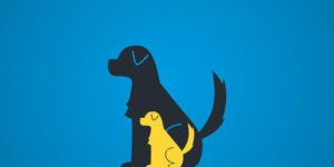 principio di sostituzione di liskov