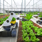 robot produzione