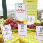 innovazione made in italy