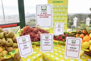 innovazione made in italy