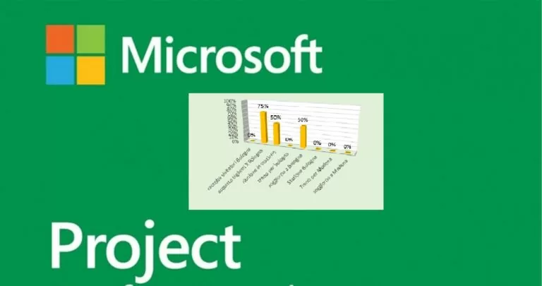 Microsoft projektrapport
